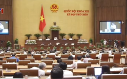 Hôm nay, Quốc hội nghe Chính phủ trình dự án sân bay Long Thành