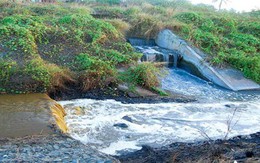 May Hồ Gươm bị phạt 154 triệu đồng vì xả thải ra môi trường