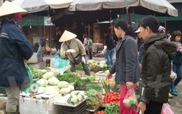 Hà Nội: Thời tiết rét đậm kéo dài đẩy giá rau xanh tăng mạnh