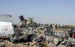 Ai Cập bác tin bắt hai nghi can đánh bom máy bay Nga