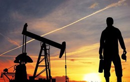 Dự báo sản lượng dầu của Mỹ có thể đình trệ trong tháng này