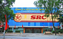 Cao su Sao Vàng triển khai dự án Trung tâm thương mại ở khu “đất vàng” Nguyễn Trãi