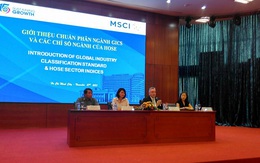 Phân ngành GICS kích thích khối ngoại đầu tư vào TTCK Việt Nam?