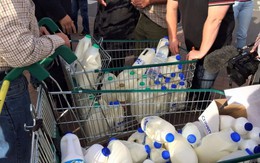 Sữa châu Âu rẻ hơn nước lọc