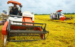 "Tái cơ cấu nông nghiệp phải gắn với tái cơ cấu kinh tế chung”
