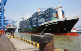 Cước phí vận tải biển đè nặng doanh nghiệp