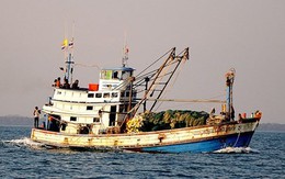 Bắt 3 tàu Thái Lan đánh bắt trái phép trên biển Việt Nam