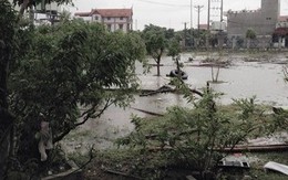 Thanh Hóa: Mưa lũ gây thiệt hại khoảng 287 tỷ đồng