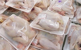 Không thể sản xuất được thịt gà 20 nghìn đồng/kg!