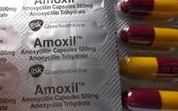 Phát hiện thuốc Amoxycillin giả trên thị trường