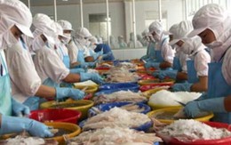Thủy sản Việt Nam theo tiêu chuẩn EU ngay tại châu Á