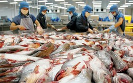 Gạo và thủy sản Việt Nam cần làm gì để đón cơ hội từ TPP?