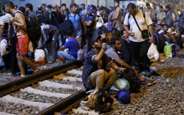 ​EU có thể ép các nước thành viên nhận người tị nạn