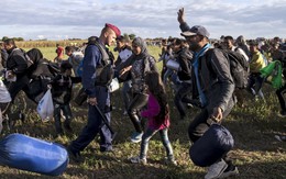 ​1.300 người Mỹ kiến nghị chính phủ tiếp nhận người tị nạn