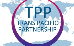 Cam kết của Việt Nam với các thành viên TPP trong lĩnh vực tài chính