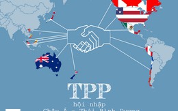 [Infographic]: Việt Nam đang ở đâu trong TPP?