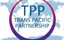 Ba vấn đề cần đặc biệt chú ý trong TPP
