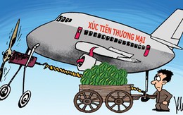 Nông, lâm, thủy sản tồn ứ: Xúc tiến thương mại ở đâu?