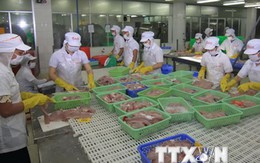 Mỹ áp quy định giám sát cá tra Việt Nam là trái nguyên tắc của WTO