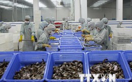 Tăng sức cạnh tranh của doanh nghiệp xuất khẩu thủy sản Việt Nam