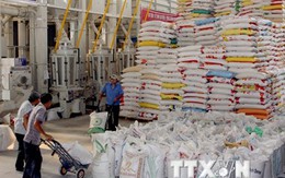 Hợp đồng xuất khẩu gạo tháng 10 cao nhất từ trước đến nay