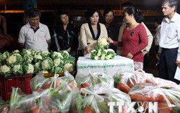 Nông sản Việt trước hội nhập: Bài toán chất lượng sản phẩm