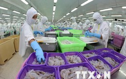 Tăng cường sức cạnh tranh của ngành thủy sản Việt Nam