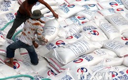 Việt Nam dẫn đầu đấu thầu cung cấp gạo cho Philippines