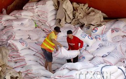 Chính phủ Philippines họp khẩn về nhập khẩu gạo do mất mùa