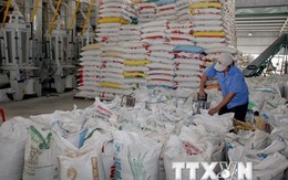 Nâng mức giá sàn xuất khẩu gạo 25% tấm thêm 10 USD mỗi tấn