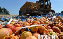 Nga áp thêm lệnh cấm nhập khẩu thực phẩm với 7 quốc gia