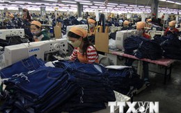 "FTA với EU có thể tạo nên đột phá mới cho kinh tế Việt Nam"