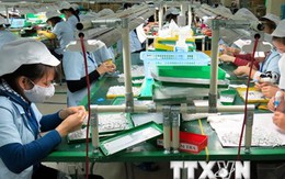 TPP mở ra định hướng phát triển mới cho doanh nghiệp Việt Nam