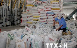 Việt Nam tạm dừng chào bán gạo 25% tấm vì nguồn cung không nhiều
