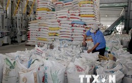 Đồng bằng sông Cửu Long mở rộng thị trường xuất khẩu thủy sản và gạo