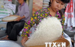 Campuchia lo ngại nhân dân tệ phá giá ảnh hưởng đến xuất khẩu gạo