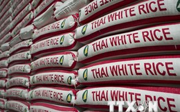 Thái Lan hạ dự báo sản lượng thóc gạo do hạn hán nghiêm trọng
