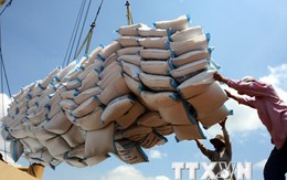 Indonesia có nhu cầu nhập khẩu 1 triệu tấn gạo từ Việt Nam