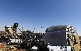 Nga xác định các nhóm đứng sau vụ nổ máy bay A321 ở Ai Cập