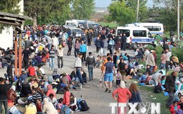 Croatia lo ngại hơn 20.000 người di cư đổ vào nước này