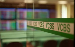 Đột biến doanh thu từ bảo lãnh phát hành, LNST 6 tháng đầu năm của VCBS vẫn giảm 23%