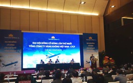 ĐHCĐ Vietnam Airlines: Đại diện Techcombank và Vietcombank trúng cử vào HĐQT và BKS