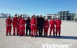 Dự án dầu khí Bir Seba: Biểu tượng hợp tác Việt Nam-Algeria