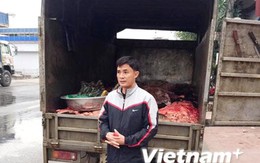 Hà Nội: Bắt giữ 1 tấn nội tạng trâu bò không rõ nguồn gốc