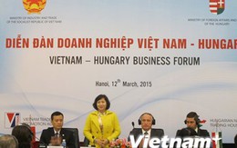 Việt Nam "chào đón" Hungary đầu tư vào công nghiệp và logistic