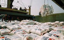 Xuất khẩu gạo 2015 sẽ chịu cạnh tranh khốc liệt