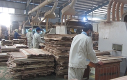 Tin vào xuất khẩu gỗ