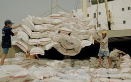 VFA: Không có chuyện tạm dừng xuất khẩu gạo 25% tấm