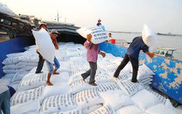 Việt Nam và Thái Lan xuất khẩu gạo sẽ chiếm hơn 47% thế giới