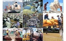 Nhiều ngành hàng sụt giảm, xuất khẩu gian nan cán mốc 165 tỷ USD